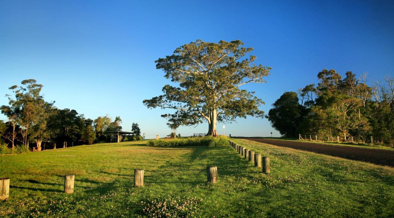 Oaks Toowoomba Hotel Екстериор снимка